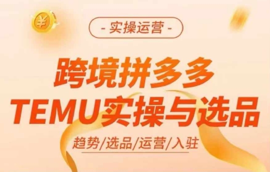 跨境拼多多TEMU实操与选品，多多temu跨境选品运营实操-云创网
