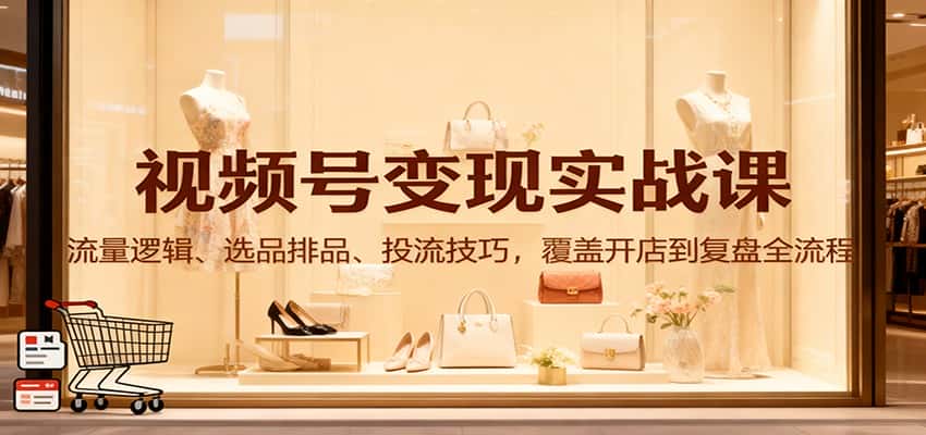 视频号变现实战课：流量逻辑、选品排品、投流技巧，覆盖开店到复盘全流程-优优云创