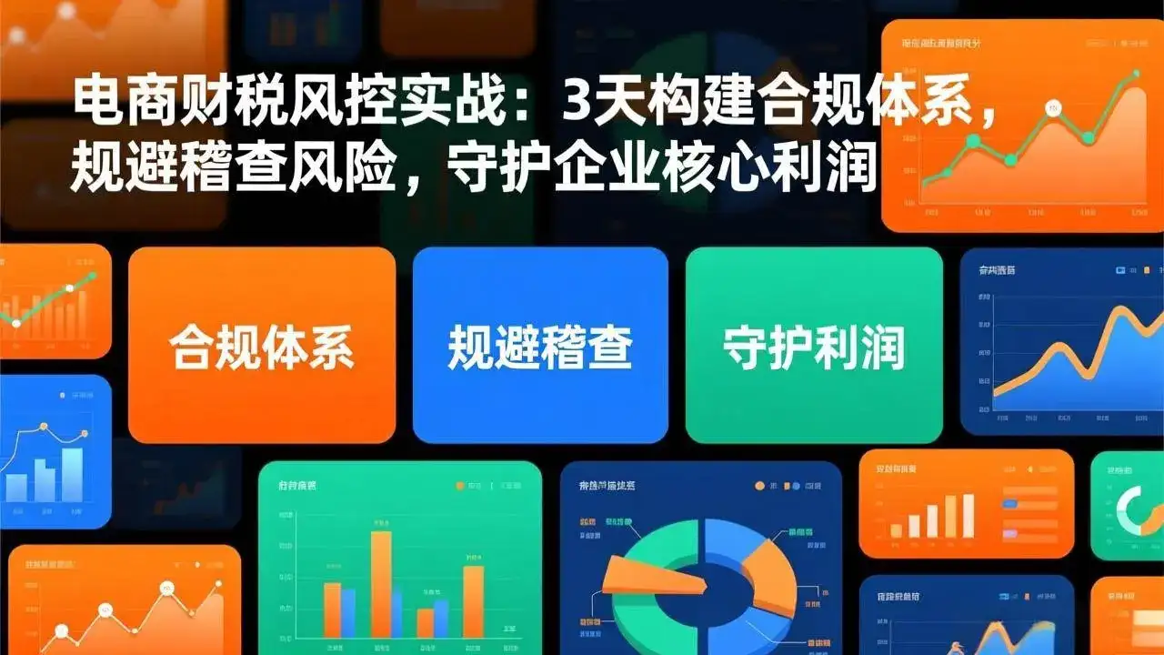(17197期)电商财税风控实战:3天构建合规体系,规避稽查风险,守护企业核心利润-副业吧