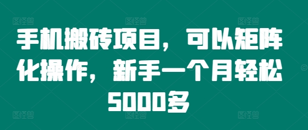 手机搬砖项目，可以矩阵化操作，新手一个月轻松5000多-云创网