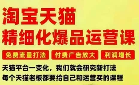 淘宝天猫精细化爆品运营课，免费流量打法-付费广告放大-利润增长-三大核心痛点，一次全部解决-优优云创