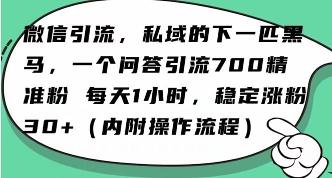 怎么搞精准创业粉？微信新赛道，每天一小时，利用Ai一个问答日引100精准粉-云创网