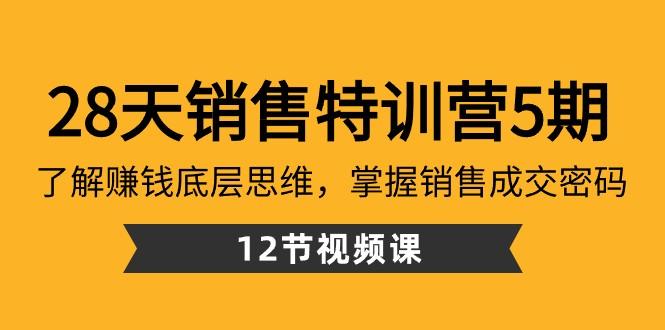 28天销售特训营5期：了解赚钱底层思维，掌握销售成交密码（12节课）-云创网