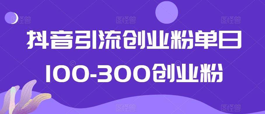 抖音引流创业粉单日100-300创业粉【揭秘】-云创网