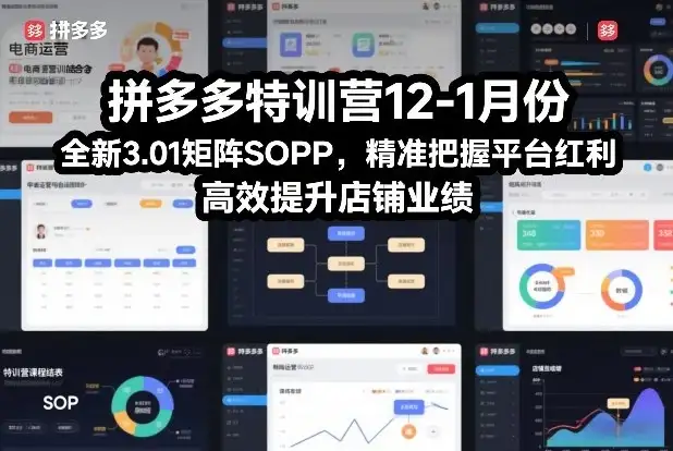 【精】拼多多特训营12-1月份，全新3.01矩阵Sop，精准把握平台红利，高效提升店铺业绩-副业吧