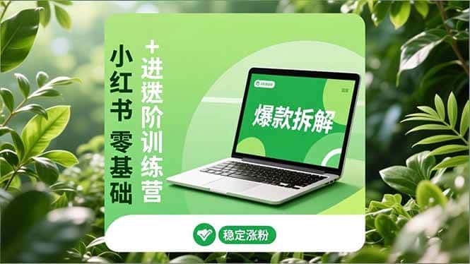 （16801期）小红书零基础+高阶训练营：安全养号、爆款拆解、长效运营，实现稳定涨粉与变现-副业吧