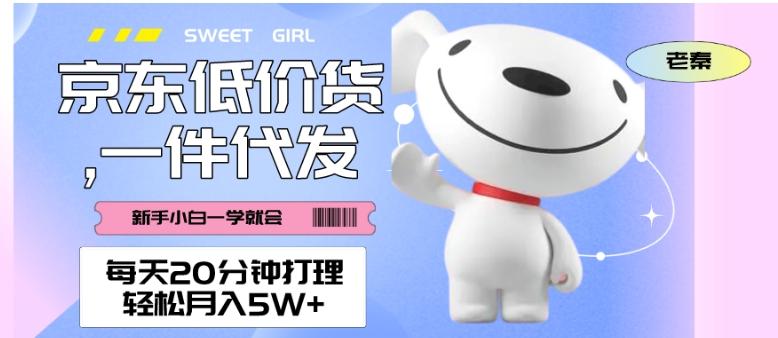 每天20分钟打理京东低价货，一件代发-轻松月入5W＋-云创网
