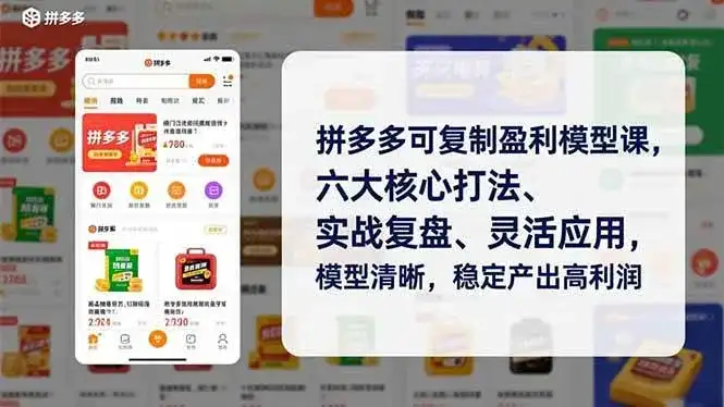 （16952期）拼多多可复制盈利模型课，六大核心打法、实战复盘、灵活应用，模型清晰，稳定产出高利润-优优云创