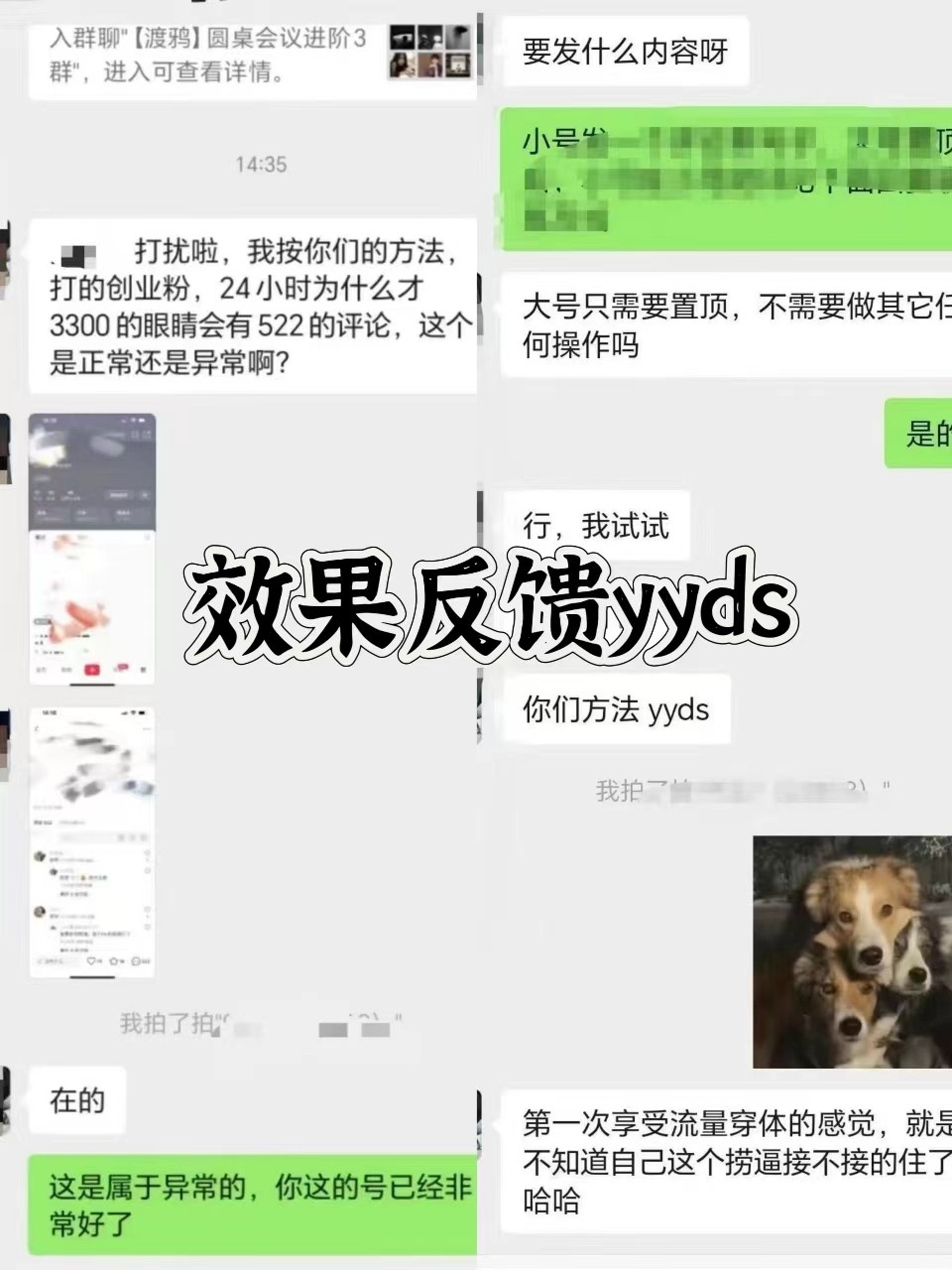 图片[3]-抖音小红书视频号全平台引流打法，全自动引流日引2000+精准客户-云创网