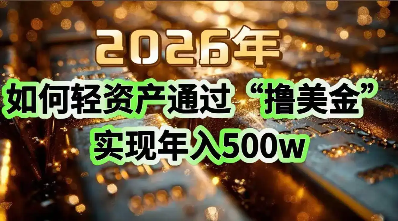 (17033期)2026年如何轻资产通过“撸美金”实现年入500w-副业吧