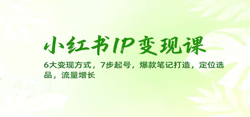 小红书IP变现课：6大变现方式，7步起号，爆款笔记打造，定位选品，流量增长-副业吧