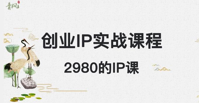 外边卖2980的创业IP课程，做私域月入5w+-云创网