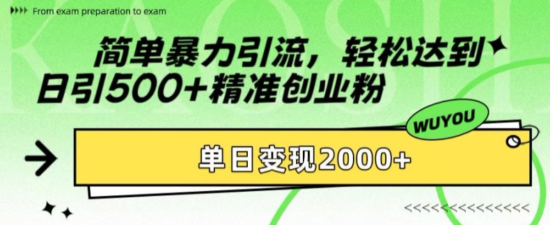 简单暴力引流，轻松达到日引500+精准创业粉，单日变现2k【揭秘】-云创网